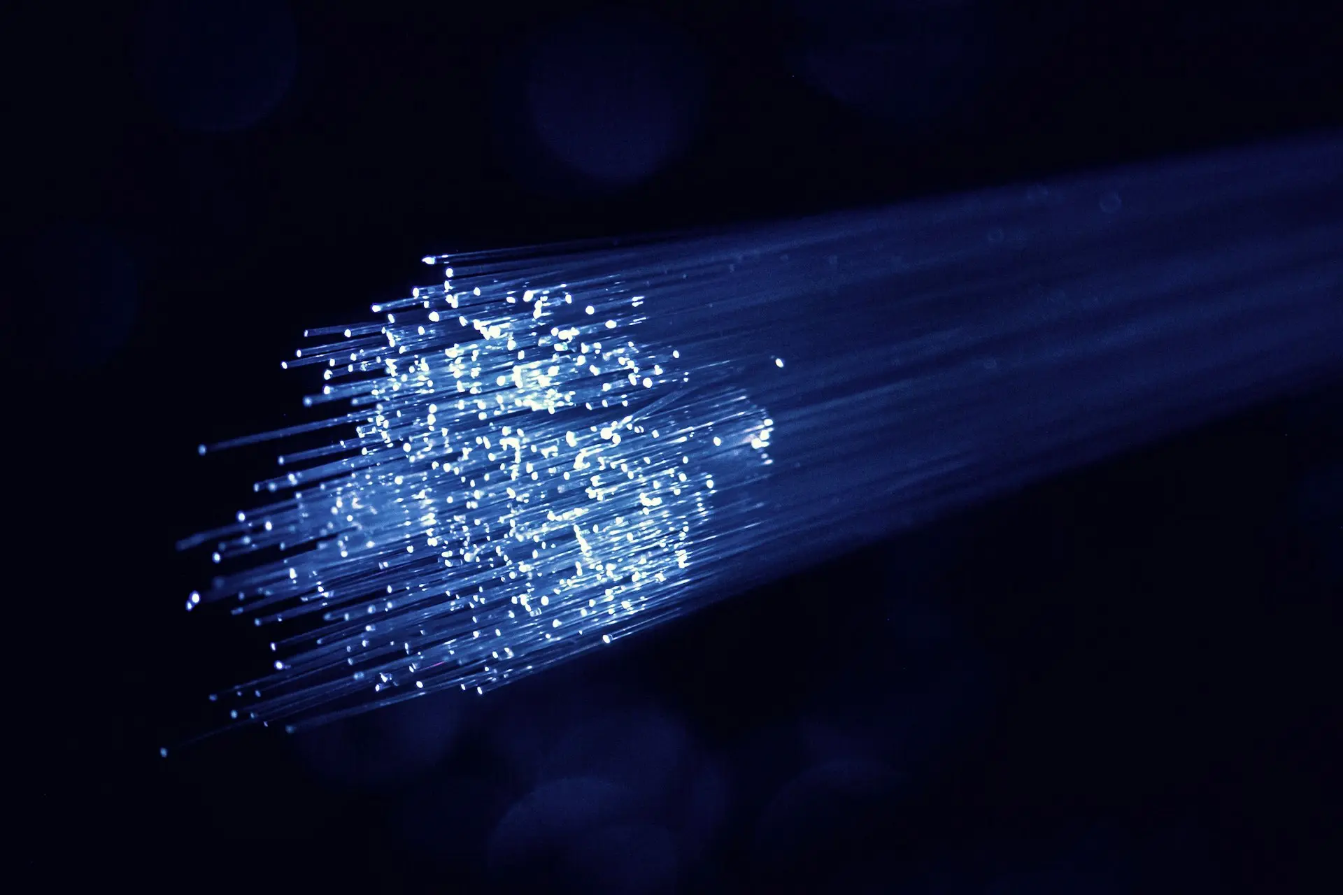 Dedicated Fiber Optic Network